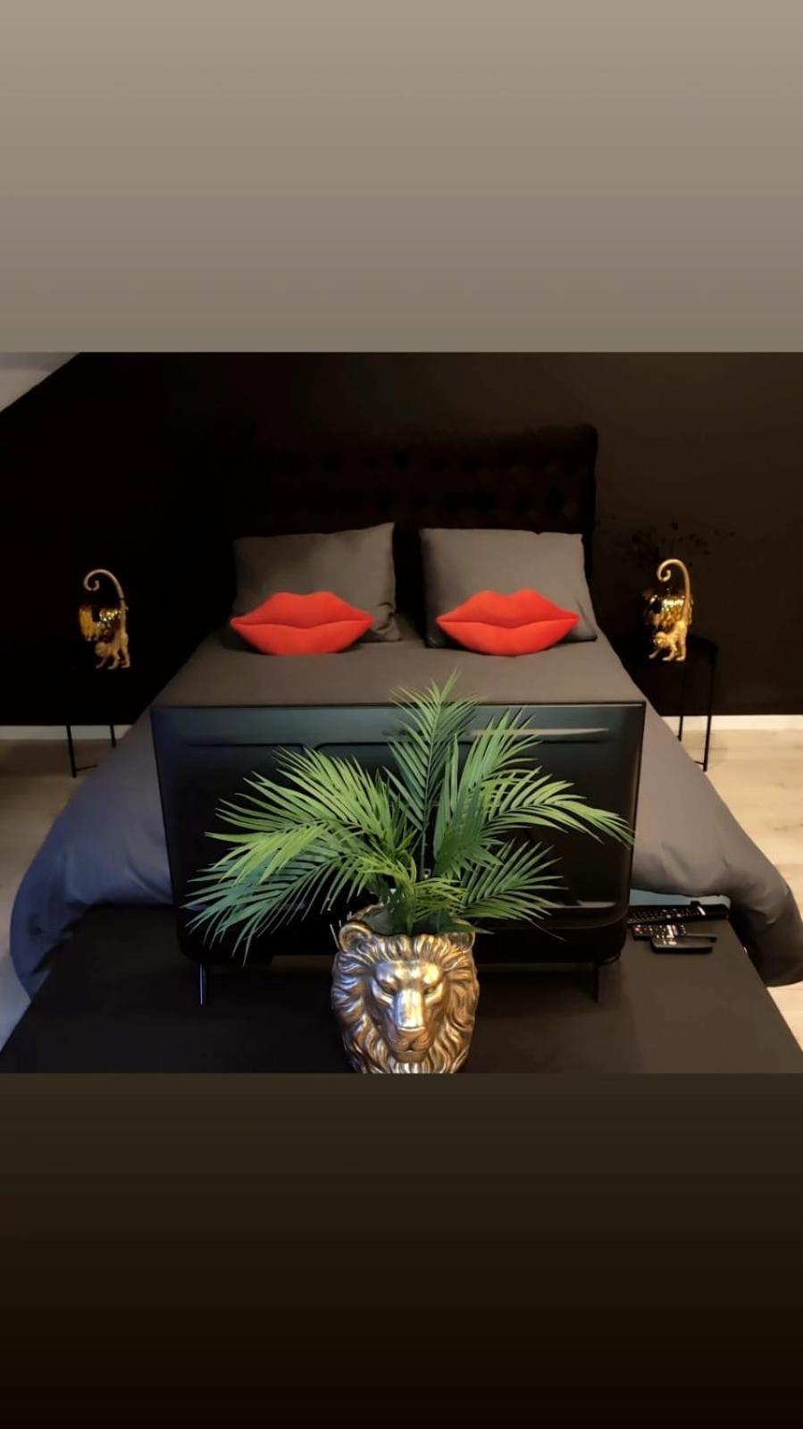 Logement Romantique Et Cosy Charleroi Eksteriør billede